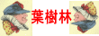 葉樹林